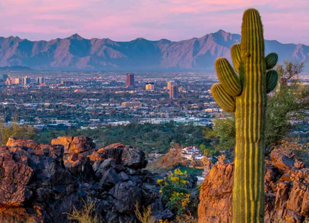 Image of Phoenix Design Center