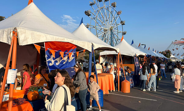 Festival Tent Gallery Image 1