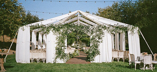 White Frame Tent