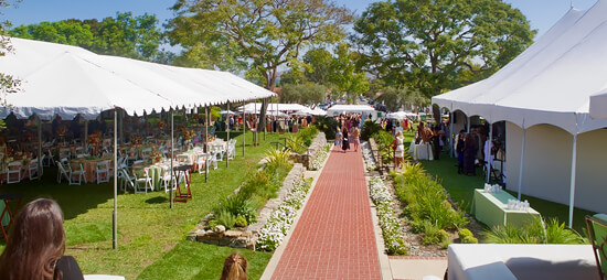 Clear Wedding Tent