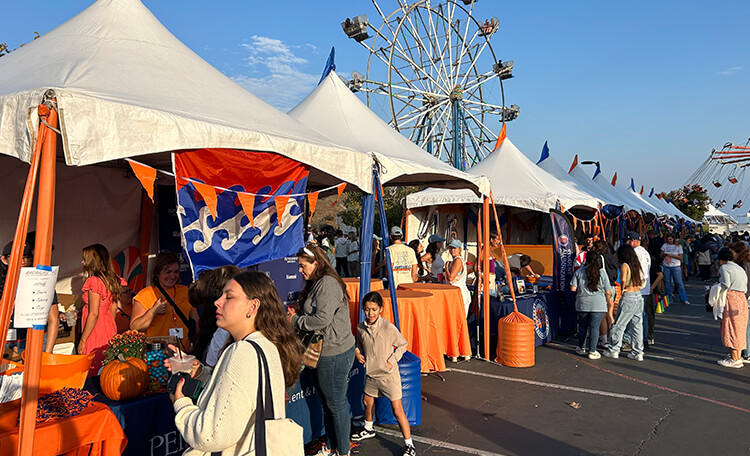 Festival Tents at Town & Country