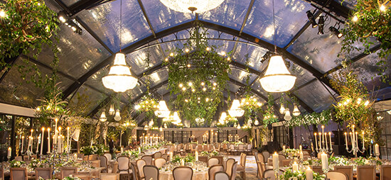 Town & Country's Tenting Division