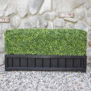 26” Double-Sided Boxwood Hedge