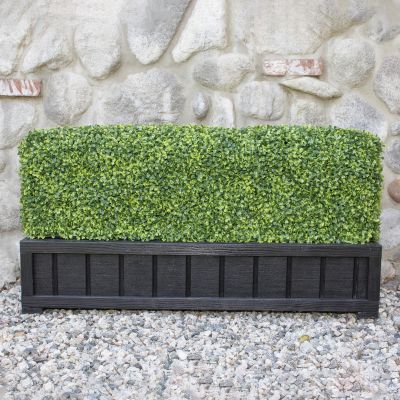 Image of 26” Double-Sided Boxwood Hedge
