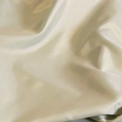 Image of Celadon Taffeta