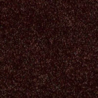 Image of Regal Coffee Brown Carpet