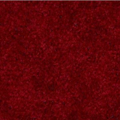 Image of Event Burgundy Carpet