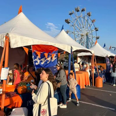 Image of Festival Tent - Online Inquiry