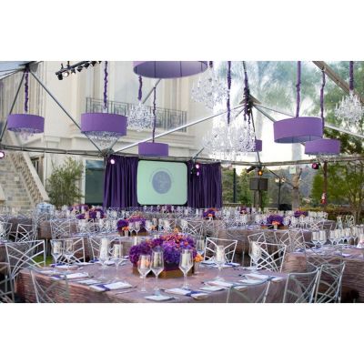 50' Wide Twin Tube Frame Tent