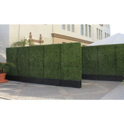 Image two of Single-Sided Boxwood Hedge