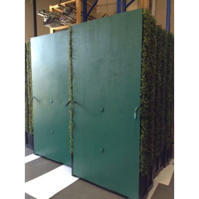 Image two of Single-Sided Boxwood Hedge
