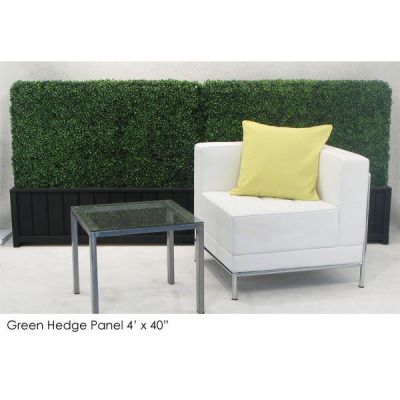 Image two of 40” Single-Sided Boxwood Hedge