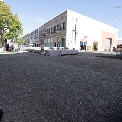 Image two of Black Turf