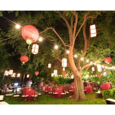 Image two of Carnival String Lighting