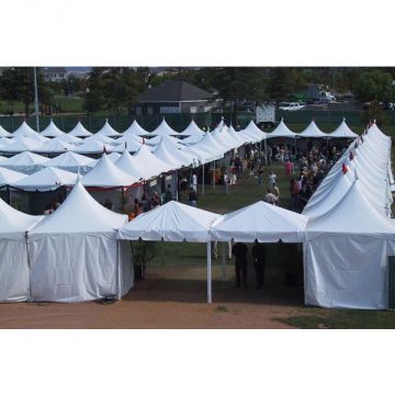 Festival Canopies