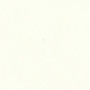 Ivory Polytex / White Polytex Drapery