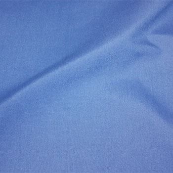 Image of Periwinkle