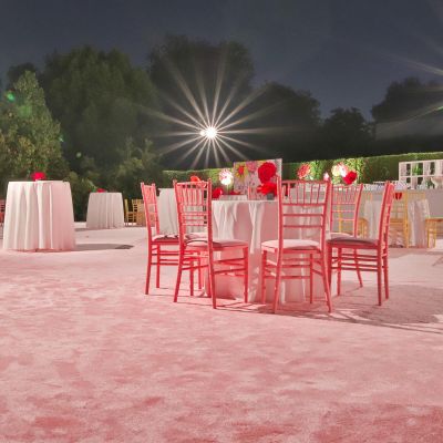 Image two of Event Pink Carpet