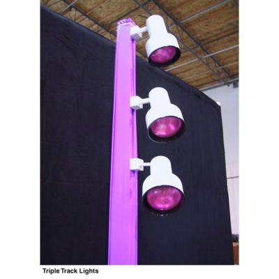 Image of Triple Track Pole Light