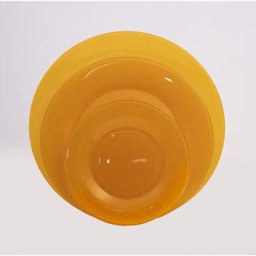 Vibe Tangerine Plates