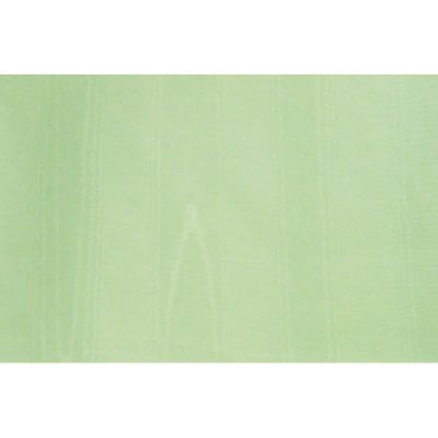 Image of Fern Moire