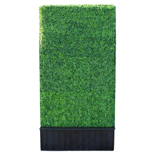 Greenery