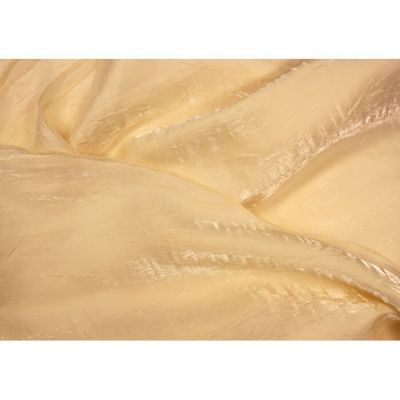 Image of Ivory Starlight