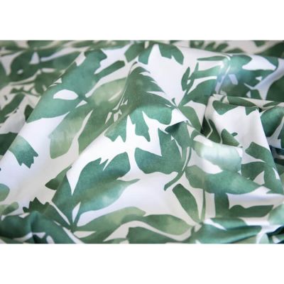 Image of Kelp Matisse