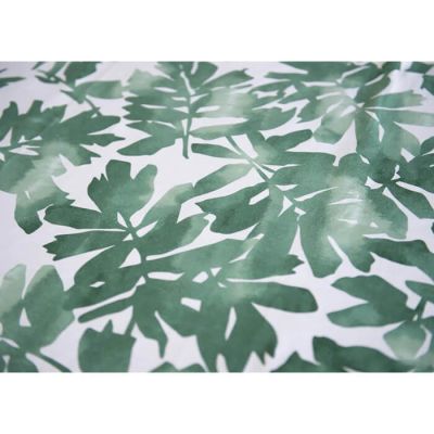 Image two of Kelp Matisse
